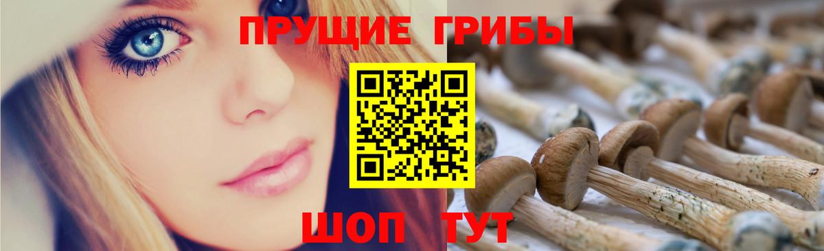 Отрадный  Псилоцибиновые грибы ЛСД  Псилоцибиновые грибы ЛСД  Вход с VPN 